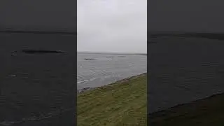 Schwere Sturmb&ouml;en am Rantumbecken Sylt 31.12.2024 #waves #nature #ocean