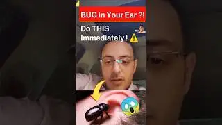 Emergency Ear Bug Removal That Actually Works at Home! | ProHealthConsults #shorts