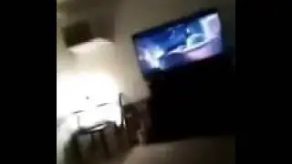 Fly in the house!!!