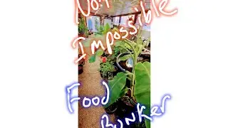 #sunday #update the #ark #southwest #desert #homestead and #preparedness