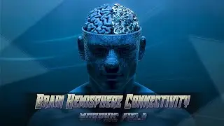 Brain Hemisphere Connectivity (Morphic Field)