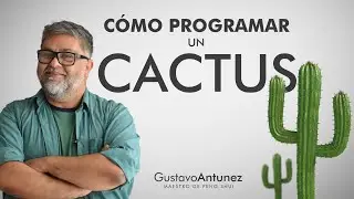 🌵 CACTUS Feng Shui tips: C&oacute;mo usarlos DENTRO de la casa 🌵 (Gustavo Antunez, Maestro de Feng Shui)