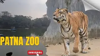 Patna Zoo 2026 l Sanjay Gandhi Biological Park l Ticket Price l Timing l Snake House l Lake & More