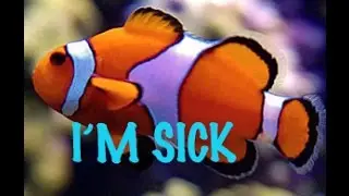 clown fish mouth stuck open