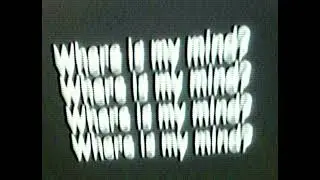 no¿