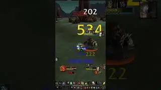 fist weapons are underrated #1v2 #spineshatter #wow #worldofwarcraft #classicwow #pvp #rogue #mage