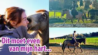 Beide paarden gaan fantástisch & dankbaarheid uitspreken... 🍂 Feline Fauve