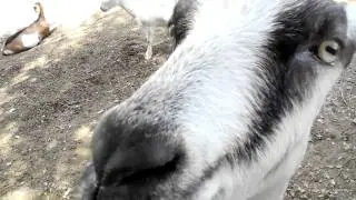 DSCN0504