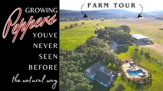 EP 12 Grow Peppers Like A Pro: How he makes hot sauce & pepper jellies,  5th generation farmer