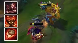 하라는 공부는 안하고