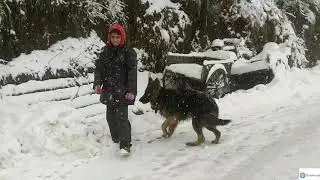 Snowfall in Shimla 2020 | A complete Tour during snowfall | Himachal Pradesh
