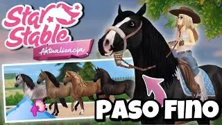 SSO AKTUALIZACJA || PREZENTACJA KONI PASO FINO oraz NOWEGO SPRZĘTU i wiele więcej! 🐴