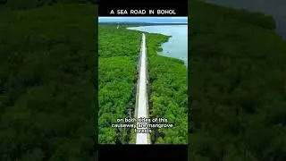 Longest Causeway 🌊 | Peaceful Sea Road in Calape Bohol #bohol #boholtour #calapebohol