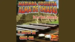 Ton's Que Mami