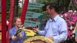 Aquatica's fifth birthday party - Orlando Florida