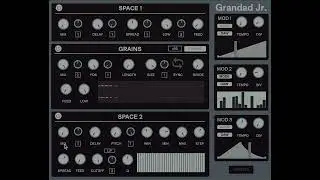 Grandad Jr. - Granular and Delay Multi-FX