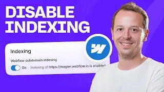 Disable Webflow indexing
