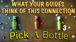 What Your Guides Think of This Connection 👀 Pick A Card | In-Depth Tarot Reading *✭˚#timelessreading