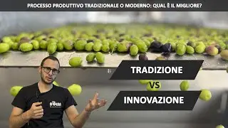 Produzione dell'olio extravergine: processo tradizionale e moderno a confronto. Qual è meglio?