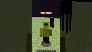 ENDERMITE ARE FROM A SECRET DIMENSION???  #minecraft