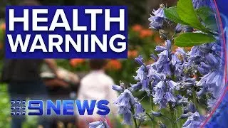Asthma and hayfever suffers warned of potentially dangerous weather changes | Nine News Australia
