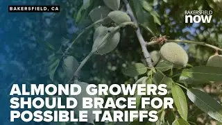 Economist: Kern County almond growers should brace for potential tariff impacts