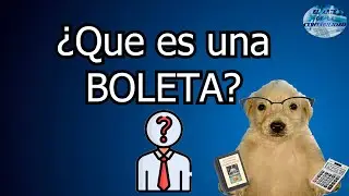 ¿que es una boleta?