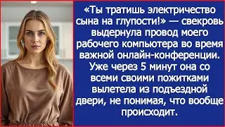 «Ты тратишь электричество сына на глупости!» — свекровь выдернула провод моего рабочего компьют