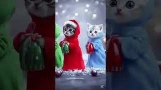 Christmas Kittens #cat #funnycats #christmaskittens #CuteCats