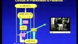 Challenges for Drug Discovery in a Postgenomic World