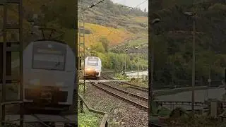 Desiro ML😎 #music #trainspotting #zug #train #hobby #fyp #fypシ゚viral #fypage #fy #fypシ゚ | Oberwesel