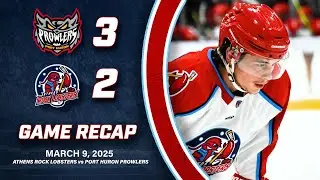 Rock Lobsters vs. Port Huron Prowlers | 3.09.25 Highlights | FPHL