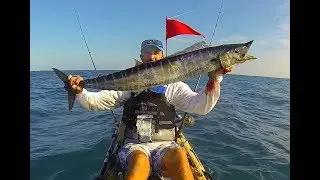 Wahoo vs Me, Kayak Fishing Zone