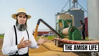 How Amish Profit $1,200/Acre on Soybeans While Modern Farmers Get $400? | The Amish Life