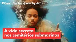 Osedax: o verme que devora ossos e recicla corpos no fundo do mar
