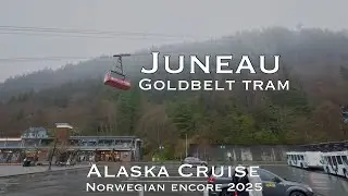 Juneau Goldbelt Tram & Snow Hike - Alaska Cruise 2025 - NCL Norwegian Encore - 7-Day from Seattle