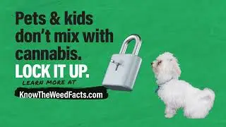 WeedFacts LockItUp