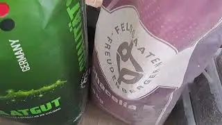 Selbstgemischte Zwischenfrucht
