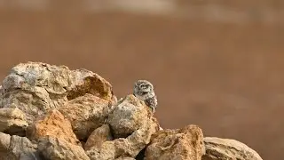 Un pequeño viaje fotográfico de prospección