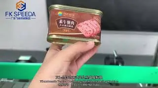 K805D Automatic Vertical 360&deg;  Positioning Labeling Machine 