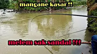mancing tehnik nutul target ikan melem sak sandal