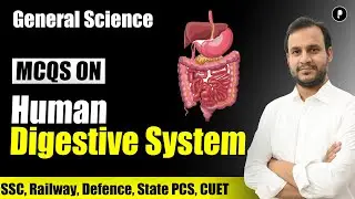 MCQs on Human Digestive System | General Science | SSC Biology #parcham