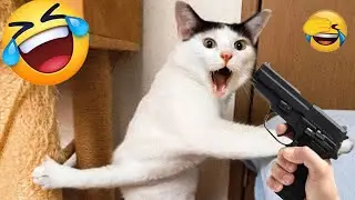 You Laugh You Lose 😇 The funniest cat and dog video you'll see today 🦁 Part 8