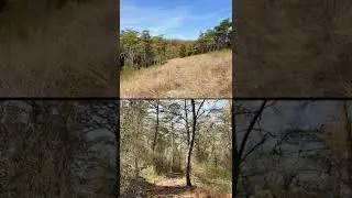 #learning #lines in the #forest ☺️ #baltimore