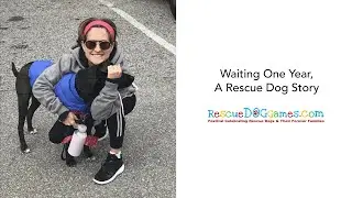 Waiting One Year, A Rescue Dog Story