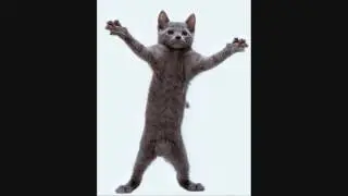 Cat, I'm a Kitty Cat and I Dance, Dance, Dance, Dance