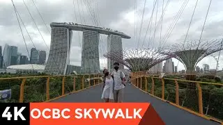 4K EXPLORING | OCBC Skywalk