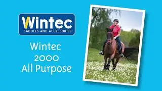 Wintec 2000 All Purpose saddle