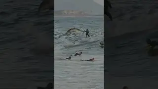 Dolphins share waves with surfers at Rincon!