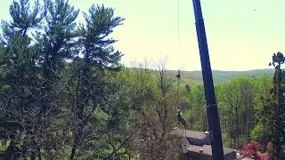 Photo Shoot of a Bucks County Tree Service Using a Crane